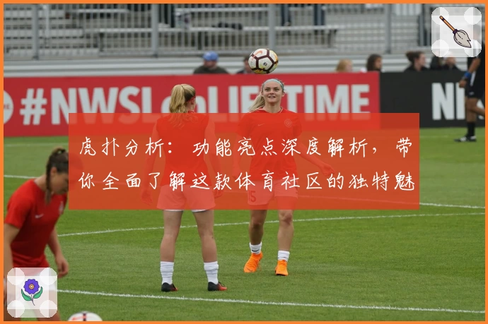 虎扑分析：功能亮点深度解析，带你全面了解这款体育社区的独特魅力